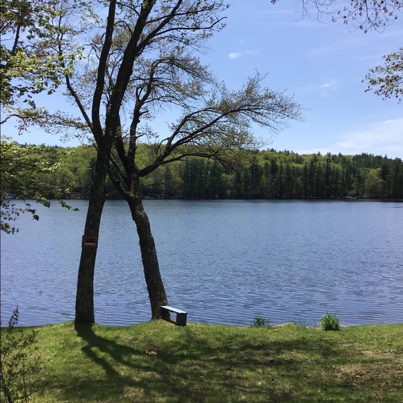 Meet your Posher, Allyson - Picture 1 of 1